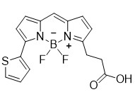 bodipy-558-acid